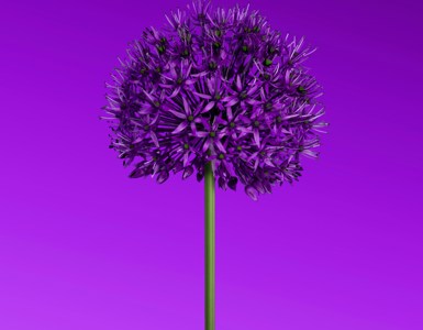 Hassaan Here 8Vv3lddt6x8 Unsplash