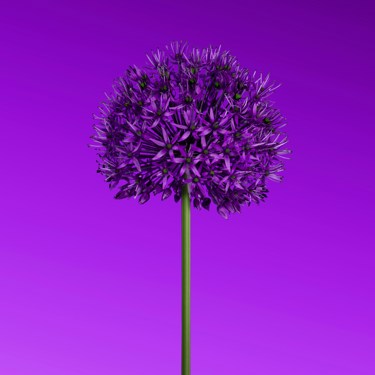 Hassaan Here 8Vv3lddt6x8 Unsplash