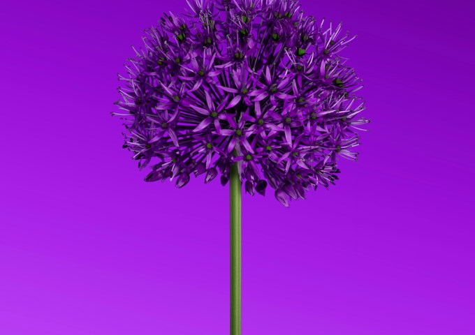 Hassaan Here 8Vv3lddt6x8 Unsplash