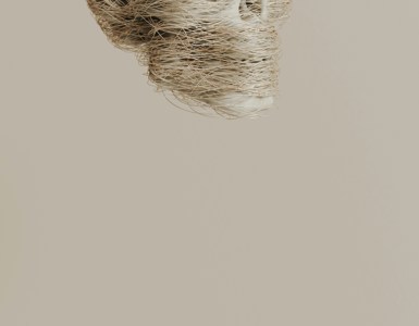 Martin Martz G2j0bi01d0a Unsplash