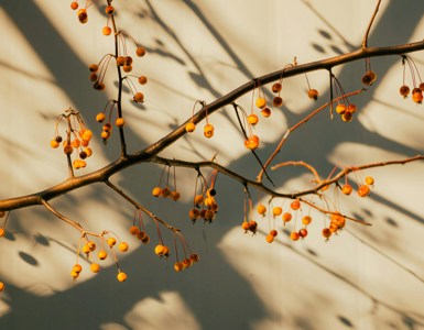 Muriel Liu Dstk031lvxy Unsplash