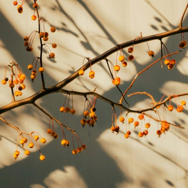 Muriel Liu Dstk031lvxy Unsplash