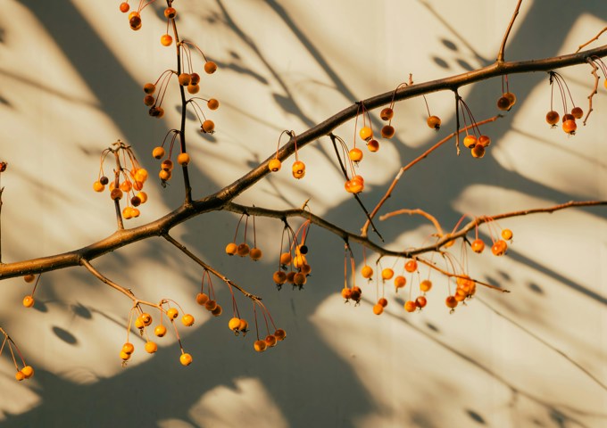 Muriel Liu Dstk031lvxy Unsplash
