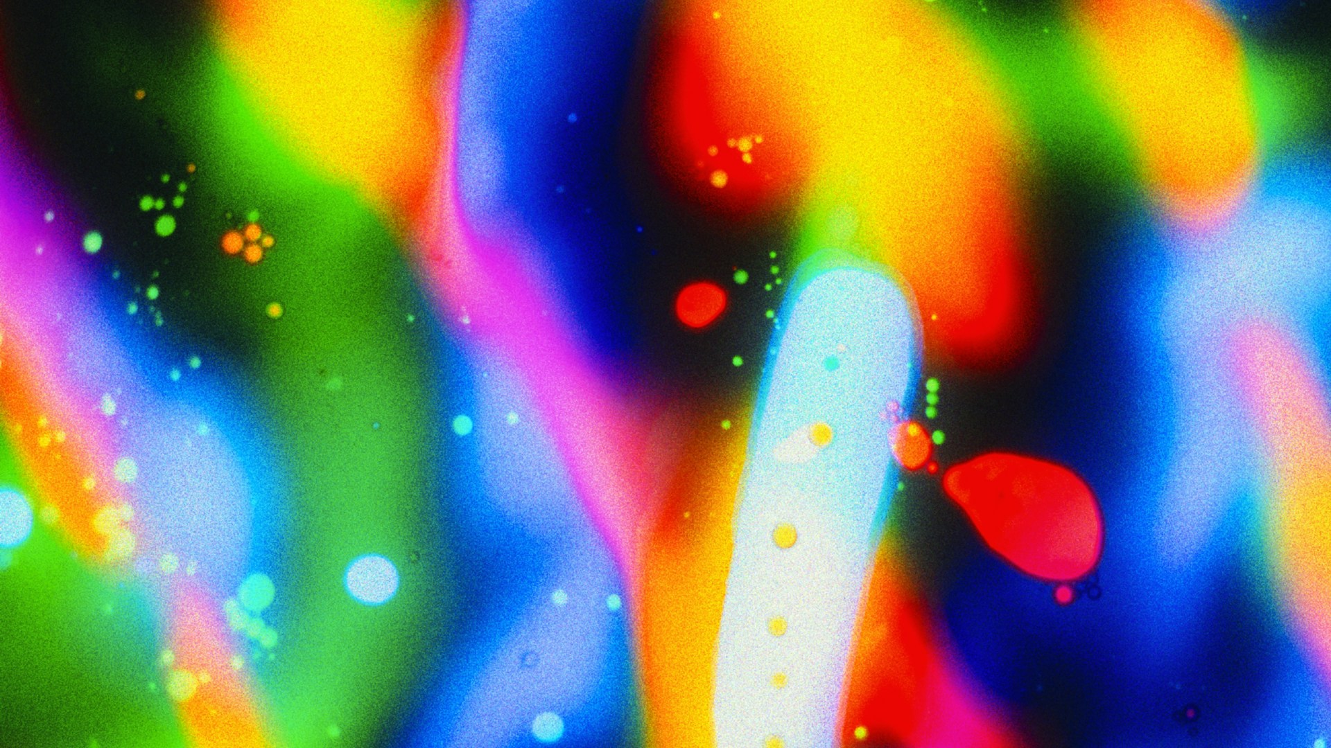 Martin Martz Wa 3T6d0rbo Unsplash
