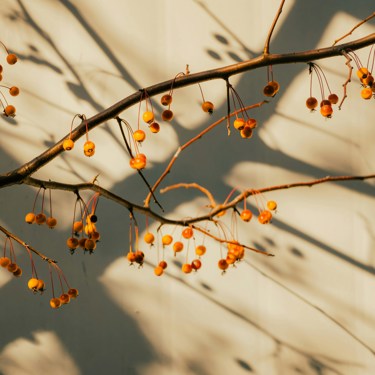 Vladislav Klapin Symzoee8qua Unsplash